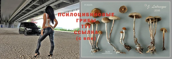 мяу мяу мука Абаза